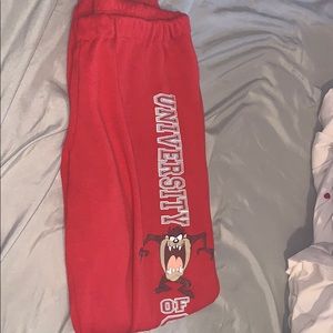 University of Georgia sweatpants